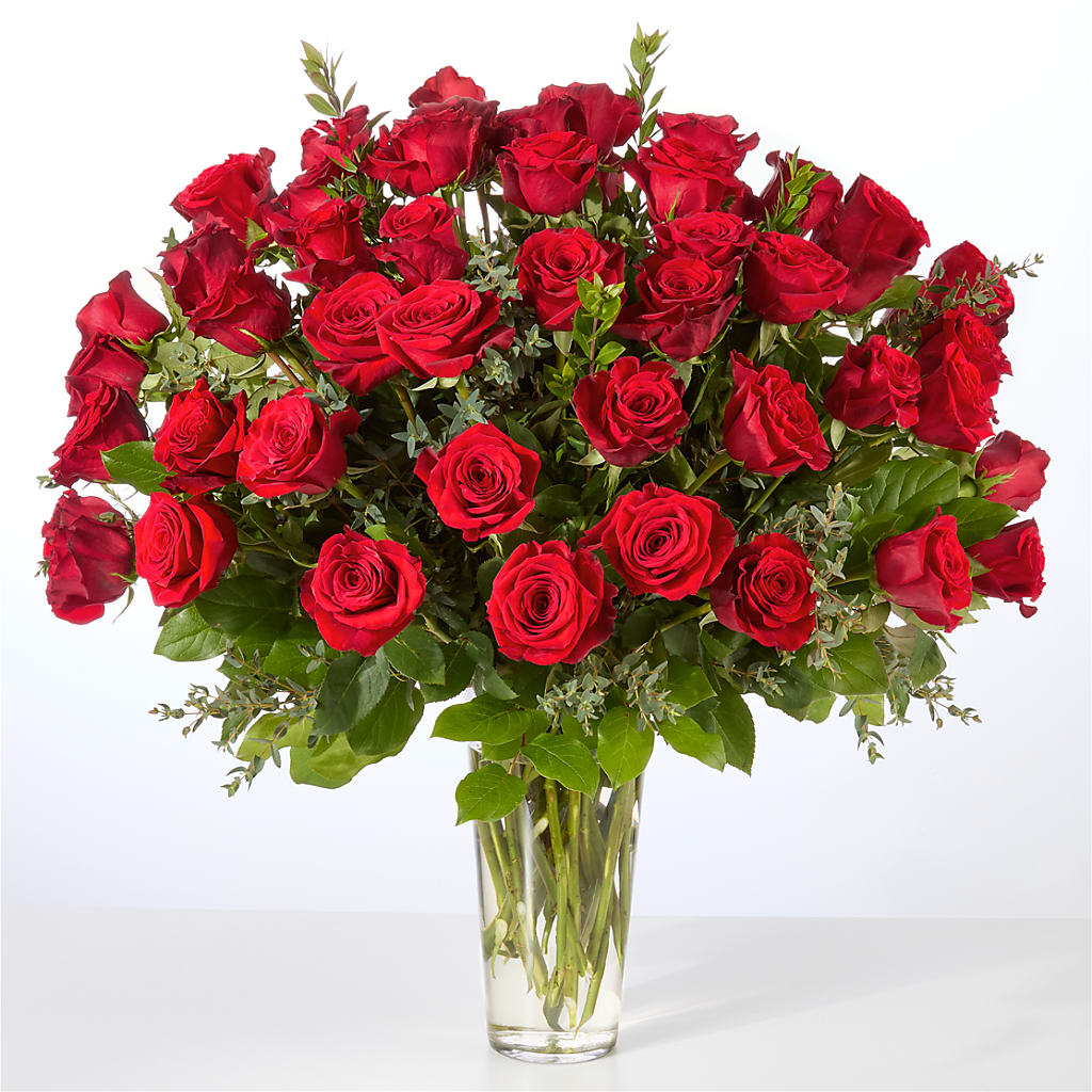 Forever Yours Fifty Stem Red Rose Bouquet – Wildflowers, Louisville KY