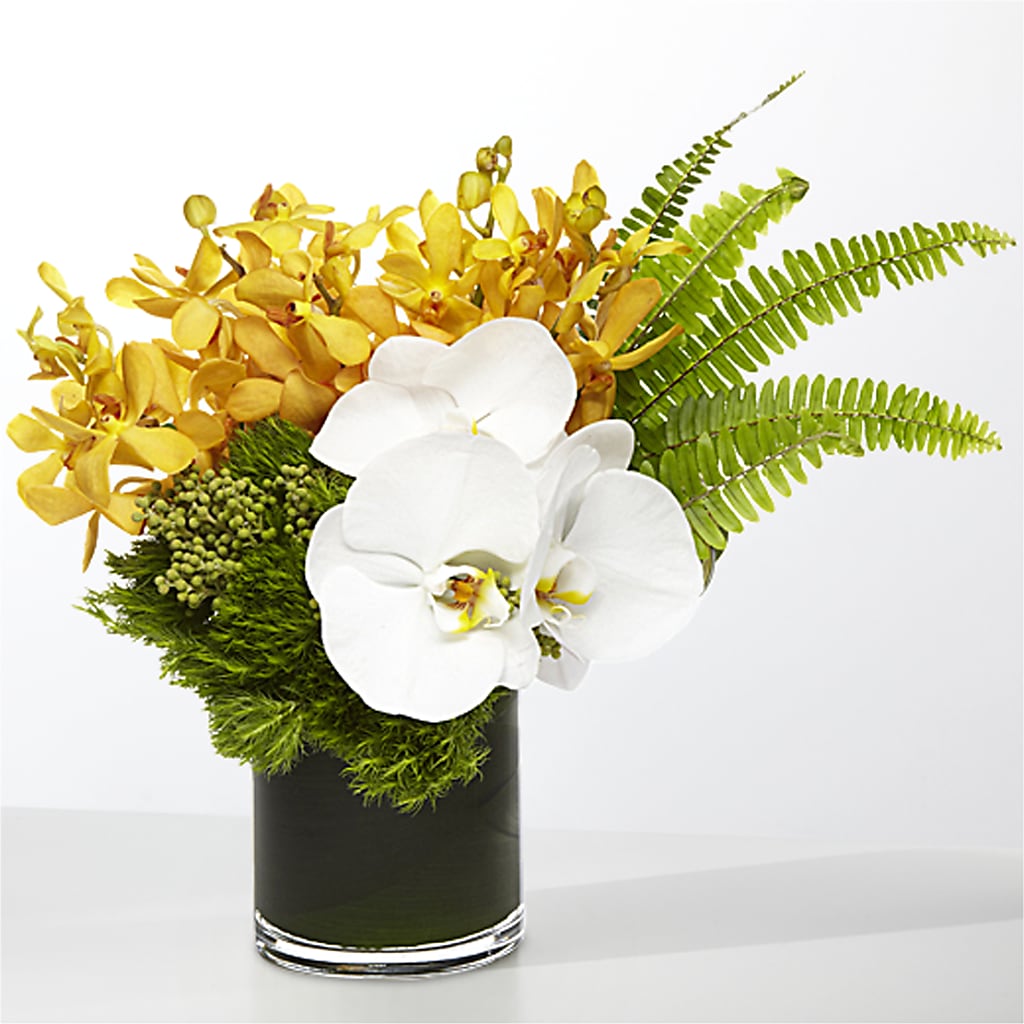 The Tropics –  Wildflowers, Louisville KY