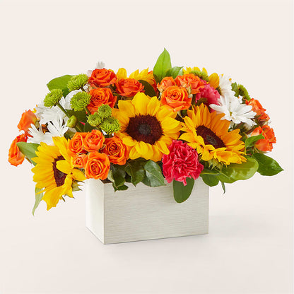 Sun-drenched Blooms Box Bouquet –  Wildflowers, Louisville KY