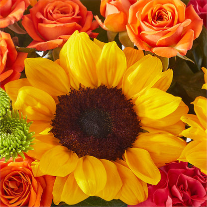 Sun-drenched Blooms Box Bouquet –  Wildflowers, Louisville KY