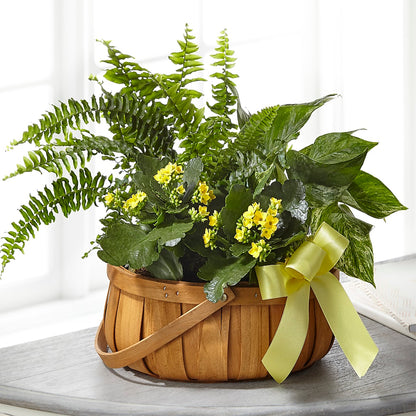 Always Dear Dishgarden –  Wildflowers, Louisville KY