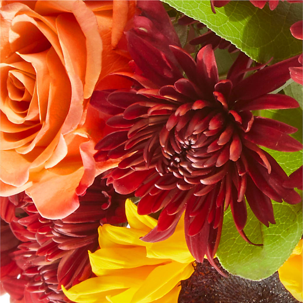 September Sunset Bouquet –  Wildflowers, Louisville KY