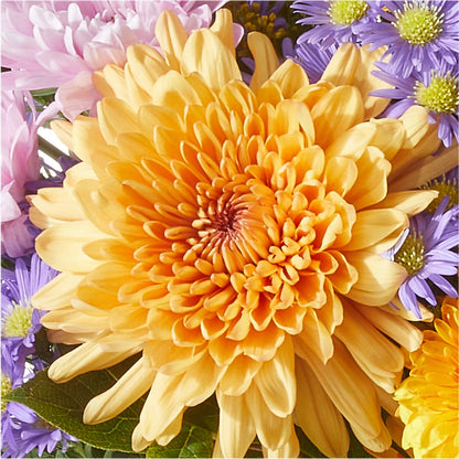 Countryside Bouquet –  Wildflowers, Louisville KY