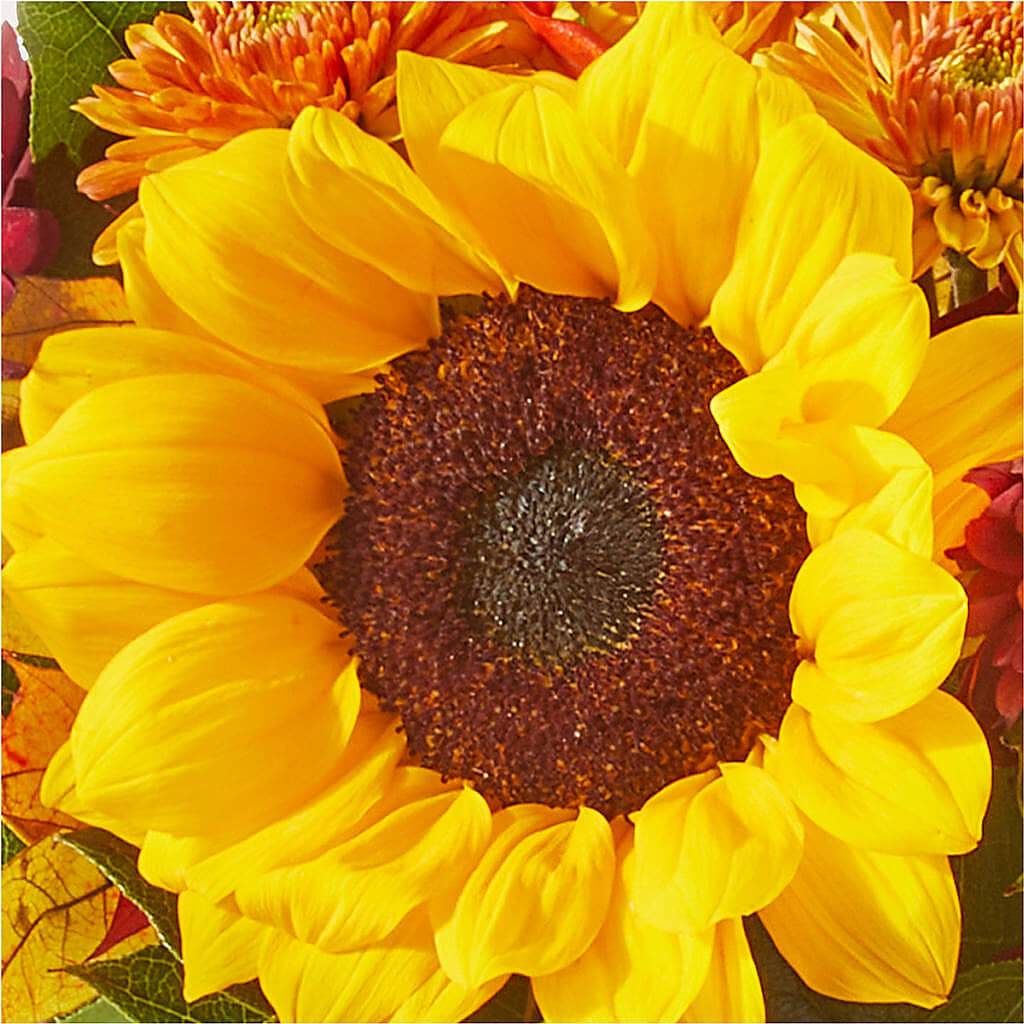 Sunny Side Bouquet –  Wildflowers, Louisville KY