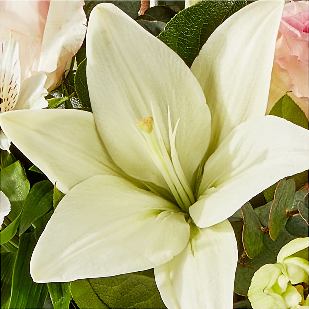 Ballet Slippers Bouquet –  Wildflowers, Louisville KY