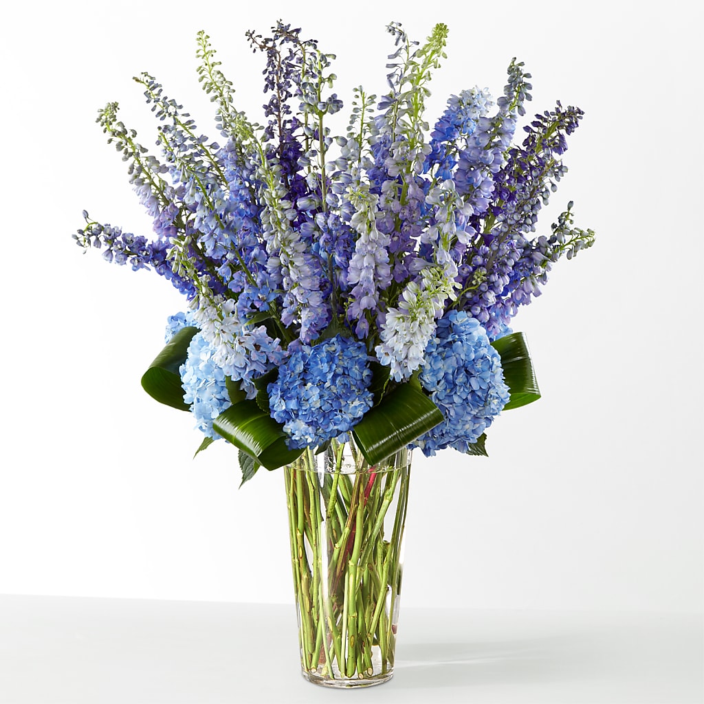 The Editorial –  Wildflowers, Louisville KY